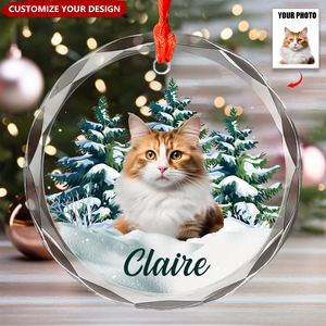 Personalized Photo Dog Glass Ornament For Christmas